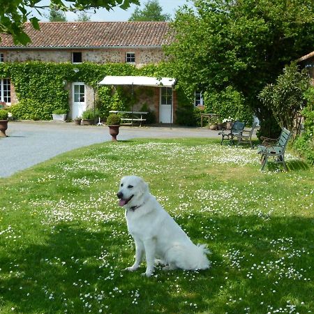 Villa Jolie Tiny House Sous Les Grands Arbres Cholet Exterior foto